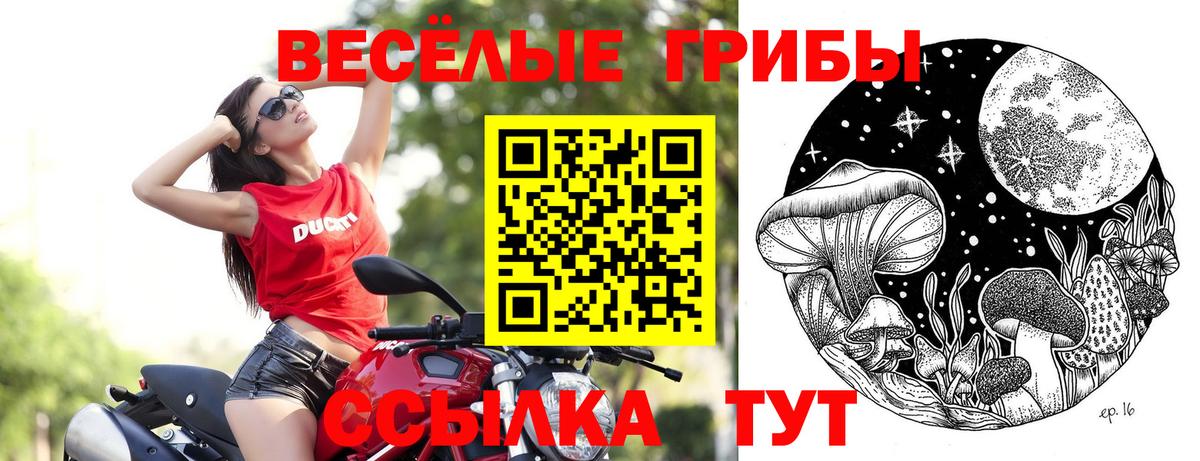 Галлюциногенные грибы MAGIC MUSHROOMS  Галлюциногенные грибы ЛСД  Рассказово  где купить наркоту  Вход с VPN 