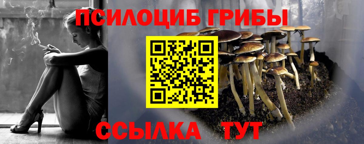 Галлюциногенные грибы мицелий Рассказово
